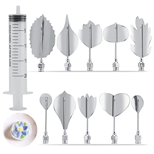 10 Stück Gelatine-Gelee-Kunst Werkzeuge, Edelstahl-Gelee-Blumen-Kuchen Nadeln mit 20 ml Spritzen zum Pudding Kuchen Dekorieren von Agatige