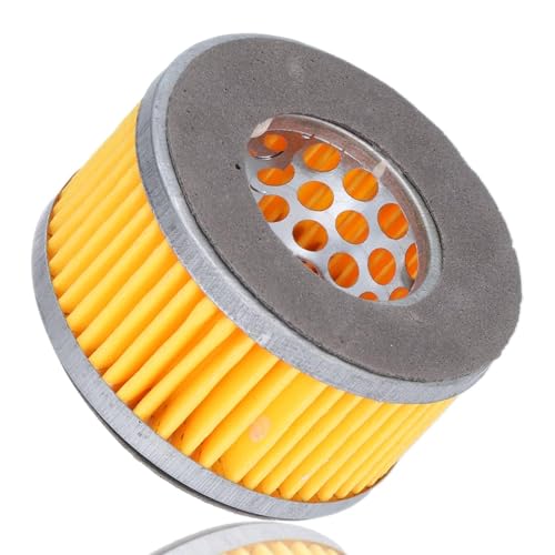 Luftkompressor Schalldämpfer Filter, Luftkompressor Ansaugfilter Schalldämpfer, Papierfilterelemente Luftkompressor Vakuumpumpe Filterzubehör, 10 Stück Patrone Silent Oil Free MachineLuftfilterung Luftkompressor Schalldämpfer Filter, Luftkompressor Ansaugfilter Schalldämpfer, Papierfilterelemente Luftkompressor Vakuumpumpe Filterzubehör, 10 Stück Patrone Silent Oil Free MachineLuftfilterung von Agatige