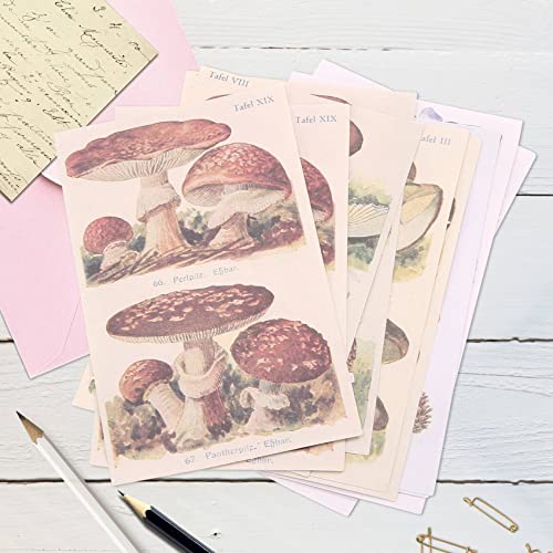 Agwuoetr 400 StüCk Scrapbooking Bedarf Tagebuch Schreiben Vintage Scrapbook Aufkleber Selbstklebende Sammelalbum Washi Aufkleber für Album Kunst Agwuoetr 400 StüCk Scrapbooking Bedarf Tagebuch Schreiben Vintage Scrapbook Aufkleber Selbstklebende Sammelalbum Washi Aufkleber für Album Kunst von Agwuoetr
