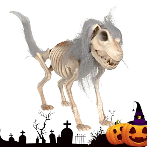 Ahuuen Hundeskelett Deko | Spukhaus Tierfigur - Flexible Schädel Tischdekoration Mit Mähne Gruselig Accessoires Für Halloween Gartendekoration Ahuuen Hundeskelett Deko | Spukhaus Tierfigur - Flexible Schädel Tischdekoration Mit Mähne Gruselig Accessoires Für Halloween Gartendekoration von Ahuuen
