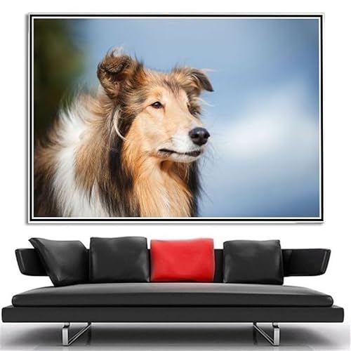 Collie Cute Pet Dog DIY Diamond Painting Kits for Adults 5D Full Round Drill Diamond Painting Kit Embroidery Arts Home Decor Collie Cute Pet Dog DIY Diamond Painting Kits for Adults 5D Full Round Drill Diamond Painting Kit Embroidery Arts Home Decor von AiEiIiOiUi