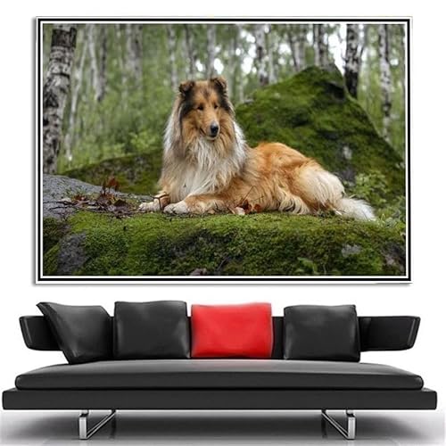 Collie Cute Pet Dog Diamond Painting Kits for Adults 5D Crystal Diamonds Art with Accessories Tools, Picture DIY Art Craft for Home Decor Gift von AiEiIiOiUi