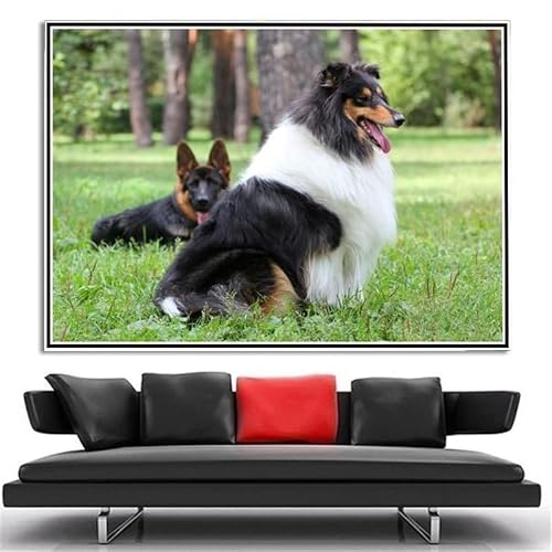 Collie Cute Pet Dog Diamond Painting Kits for Adults Diamond Art 5D Paint with Diamonds,DIY Painting Kit Paint by Number Birthday Gifts Collie Cute Pet Dog Diamond Painting Kits for Adults Diamond Art 5D Paint with Diamonds,DIY Painting Kit Paint by Number Birthday Gifts von AiEiIiOiUi