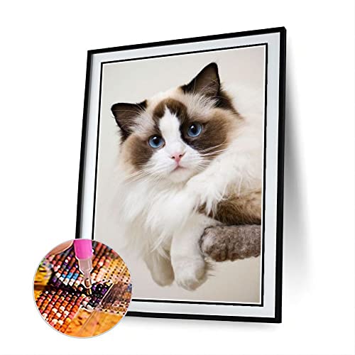 Ragdoll Süße Haustier Katze Tier DIY Diamant Malerei Kits für Erwachsene, 5D Full Round Drill Diamond Painting Kit Stickerei Kunst Home Decor Ragdoll Süße Haustier Katze Tier DIY Diamant Malerei Kits für Erwachsene, 5D Full Round Drill Diamond Painting Kit Stickerei Kunst Home Decor von AiEiIiOiUi