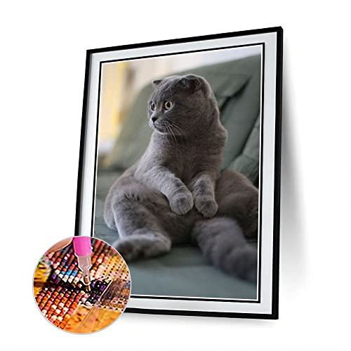 Scottish Fold Cute Pet Cat Animal Diamond Painting Kits for Adults, 5D Crystal Diamonds Art with Accessories Tools, Picture DIY Art Craft for Home Decor Gift Scottish Fold Cute Pet Cat Animal Diamond Painting Kits for Adults, 5D Crystal Diamonds Art with Accessories Tools, Picture DIY Art Craft for Home Decor Gift von AiEiIiOiUi