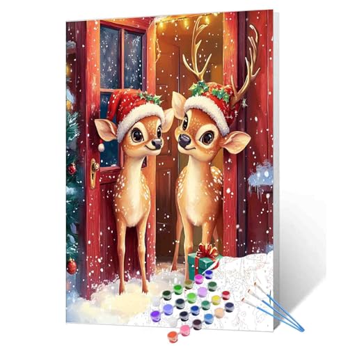 Malen nach Zahlen für Erwachsene, Malen nach Zahlen für Erwachsene, Malen nach Zahlen für Weihnachten, Schneetür, Malen-nach-Zahlen-Set auf Leinwand für Anfänger, einfache Acrylfarbe von Aihonmin