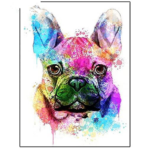 DIY 5D Diamond Painting Bilder Französische Bulldogge Full Drill Diamant Malerei Kit für Erwachsene Kristall Strass Stickerei Kreuzstich Mosaik Gemälde handwerk Canvas Wall Arts Decor 30x40cm/12x16in von HUHIK