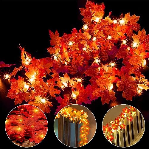 Ainkedin Herbst Lichterkette, Herbst Blättergirlande, Lichterkette, 40 Ahornblatt Licht, Länge 6 Meter Benutzt für Herbstdeko und Weihnachtsdeko Halloween Deko Party Deko Tischdeko Ainkedin Herbst Lichterkette, Herbst Blättergirlande, Lichterkette, 40 Ahornblatt Licht, Länge 6 Meter Benutzt für Herbstdeko und Weihnachtsdeko Halloween Deko Party Deko Tischdeko von Ainkedin
