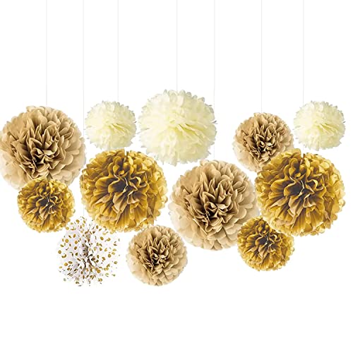 Ainmto 12 Stück Golden Seidenpapier Pompons Dekoration für Geburtstag, Hochzeit von Ainmto