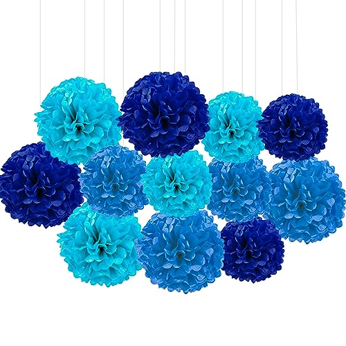 Ainmto 12 Stück Seidenpapier Pompons Blau,Party Pompons Deko für Geburtstag, Hochzeit von Ainmto