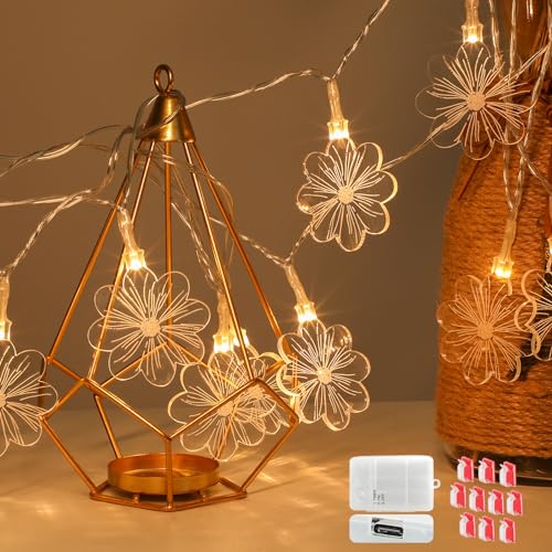 Aiohao Indoor Fairy Lights 4.1 m 15 LED USB Rechargeable Battery Acrylic Flowers, LED Fairy Lights for Indoor Outdoor, Balcony Indoor Bedroom Room Christmas Balcony Party Warm White von Aiohao