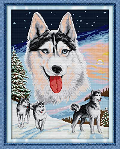 Aiorkeng Kreuzstich-Set, geprägt, komplettes Sortiment an Stickerei-Starter-Sets für Anfänger, zum Selbermachen, bedrucktes Set Husky (bedruckt), 14 fädig, 2 Stränge, 44 x 54 cm von Aiorkeng