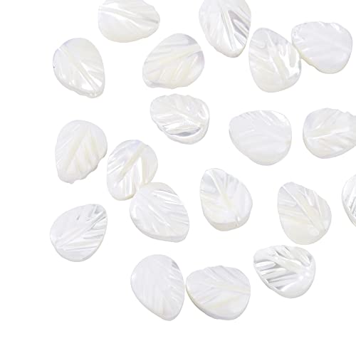 Airssory 20 Stück natürliche lose Muschelblatt-Abstandshalter Perlen für Perlenkette Armband Schmuckherstellung Zuhause Vorhang Party Dekor – 8 x 6,2 mm von Airssory