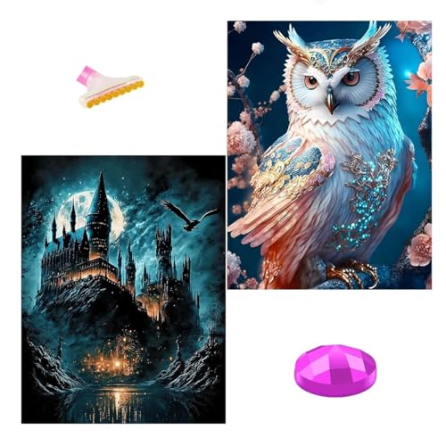 Aiuorty 2 Pack Diamond Painting,Zauber Akademie Diamant Painting bilder Erwachsene set for Kinder Kids DIY 5D Diamond Art Malerei Gift Wand Dekor 30x40cm (Eulen) von Aiuorty
