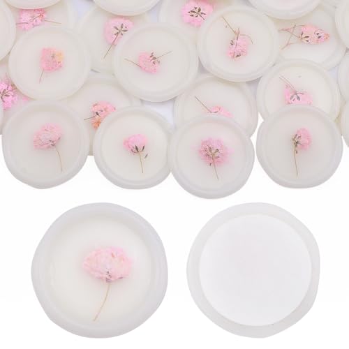Aiviman Selbstklebende Wachssiegel-Aufkleber, trockene Blumen, Babybreath, Umschlag, Siegelaufkleber, perfekt für Geschenkverpackungen, Hochzeitseinladungen, Brautpartys, Geburtstage, Rosa, 25 Stück Aiviman Selbstklebende Wachssiegel-Aufkleber, trockene Blumen, Babybreath, Umschlag, Siegelaufkleber, perfekt für Geschenkverpackungen, Hochzeitseinladungen, Brautpartys, Geburtstage, Rosa, 25 Stück von Aiviman