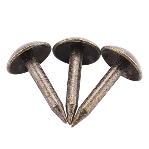 Akozon 100pcs Verdickte Glänzende Kleine Tassennägel - für Kunst-, Kunsthandwerk und DIY -Projekte (6 * 12 mm) von Akozon