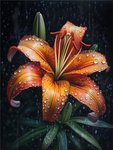 Diamond Painting Blumen, 5D Diamant Painting Erwachsene Kinder Bilder, Lilie Diamond Painting Set, Full Drill Diamant Painting Bastelset Erwachsene Diamonds Stickerei Malerei Home Decor 70x90cm Y902 Diamond Painting Blumen, 5D Diamant Painting Erwachsene Kinder Bilder, Lilie Diamond Painting Set, Full Drill Diamant Painting Bastelset Erwachsene Diamonds Stickerei Malerei Home Decor 70x90cm Y902 von Alaoan