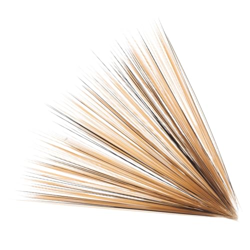 Alasum 100st Simulierte Katzenschnurrhaare Füllen Geschenkspielzeug Leichter Tischsand Miniaturdekoration Mülltonne Mit Deckel Wohnaccessoires Bausatz Gold Plastik Light Brown Alasum 100st Simulierte Katzenschnurrhaare Füllen Geschenkspielzeug Leichter Tischsand Miniaturdekoration Mülltonne Mit Deckel Wohnaccessoires Bausatz Gold Plastik Light Brown von Alasum