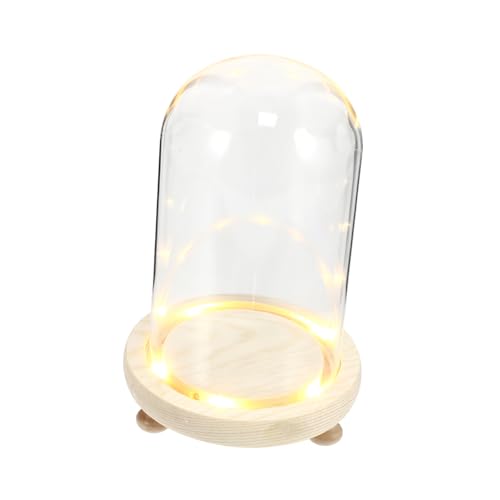 Alipis 1 Satz Erhaltene Blumenglasabdeckung Pflanzständer Dekoration Pflanzenhocker Led-lichtbasis Haushalt Saftig Kuppelgehäuse Kreise Die Kerzen Ein Kleine Gläser Mit Korkdeckel Holz Alipis 1 Satz Erhaltene Blumenglasabdeckung Pflanzständer Dekoration Pflanzenhocker Led-lichtbasis Haushalt Saftig Kuppelgehäuse Kreise Die Kerzen Ein Kleine Gläser Mit Korkdeckel Holz von Alipis