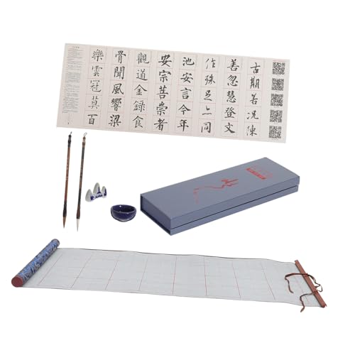 Alipis 1 Schachtel Wiederverwendbares Kalligraphie Schreib Tuch für Anfänger Wasserabsorbierendes Leichtes Übungstuch für Pinsel Kalligraphie Tragbares Chinesisches Schreibzubehör von Alipis