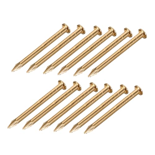 Alipis 100 Stück Messingnägel Rundkopf für Möbel DIY Dekorative Boxen Hochwertige Befestigungsnägel für Holzprojekte und Möbelbeschläge von Alipis