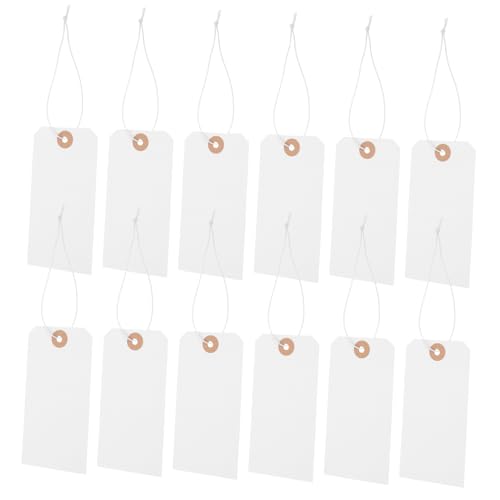 Alipis 100 Stück Preisschilder Für Schmuck Einzelhandel Hängend Schmucklos Schlüssel Kleidung Leer Draht Schutz Etikett Stichworte Geschenkanhänger Papier Weiß von Alipis