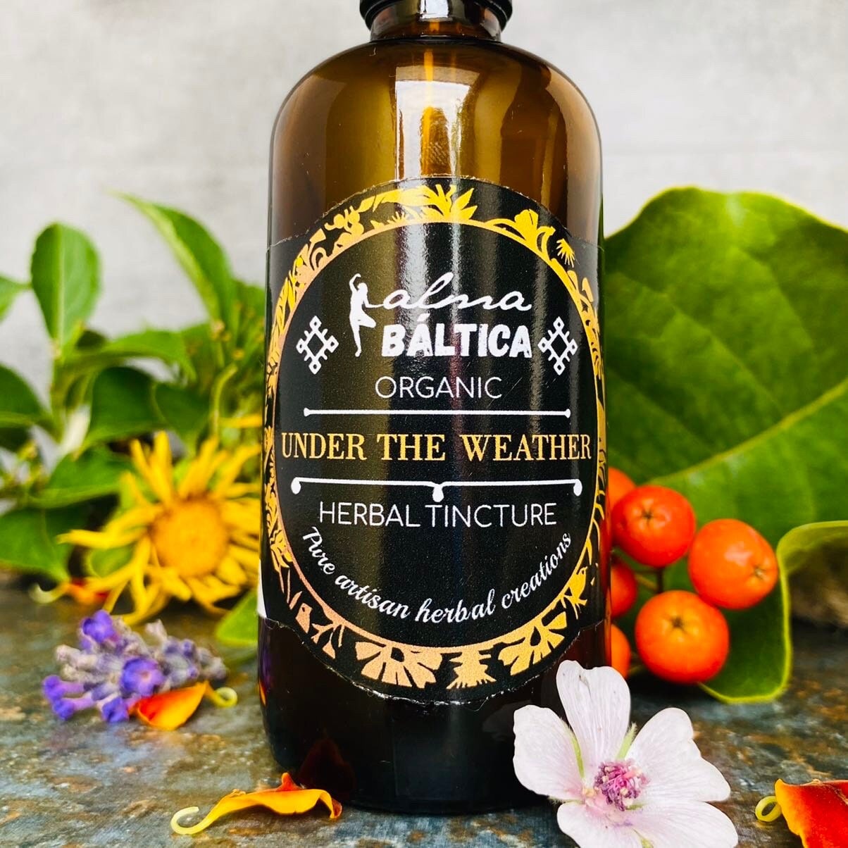 Unter Dem Wetter, Kräutertinktur, Flüssigextrakt Mit Echinacea, Alant, Weißdorn-Tinktur, Kräuterextrakt, Natürlich Unter Dem Wetter, Kräutertinktur, Flüssigextrakt Mit Echinacea, Alant, Weißdorn-Tinktur, Kräuterextrakt, Natürlich von AlmaBalticaOrganics