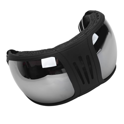 Alomejor Rennbrille für Pferde, Schutzbrille mit Verstellbarem Riemen und Schwammpolsterung für das Reittraining (SILVER) von Alomejor