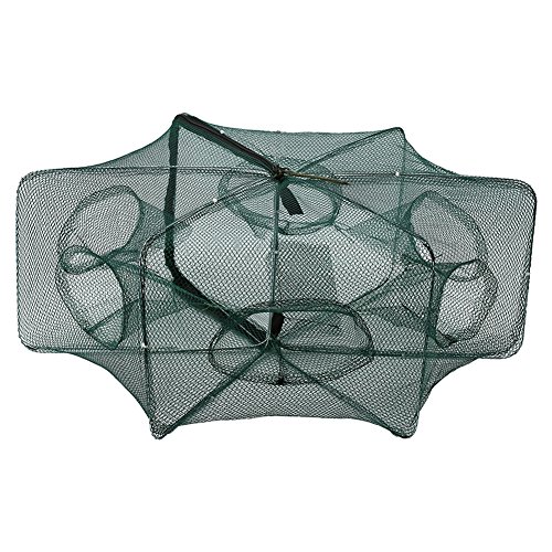 Fischernetz Falle Garnelen Käfig Nylon Faltbare Krabben Fisch Reuse für Krabben Krebse Garnelen Garnele(6 Löcher) von Alomejor