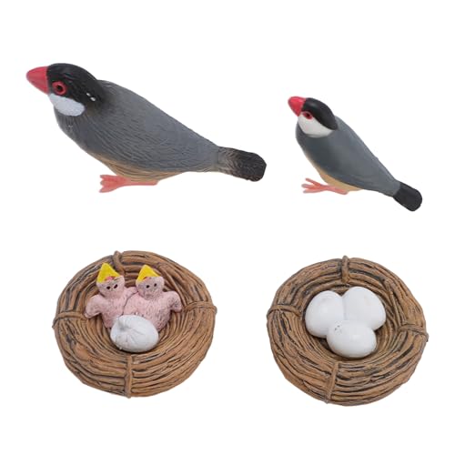 Vogelschlüpfungsmodell, PVC -Finch -Wachstumszyklusspielzeug -Requisitin Interaktives Lernen für Sandkastendekoration und Frühe Bildung Vogelschlüpfungsmodell, PVC -Finch -Wachstumszyklusspielzeug -Requisitin Interaktives Lernen für Sandkastendekoration und Frühe Bildung von Alomejor