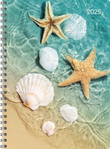 Alpha Edition - Ladytimer Ringbuch Beach 2025, 15x21cm, Kalender mit 128 Seiten, Kalender mit einem Adressteil, Übersichten und internationalem Kalendarium, Wochenübersicht auf 2 Seiten Alpha Edition - Ladytimer Ringbuch Beach 2025, 15x21cm, Kalender mit 128 Seiten, Kalender mit einem Adressteil, Übersichten und internationalem Kalendarium, Wochenübersicht auf 2 Seiten von Alpha Edition