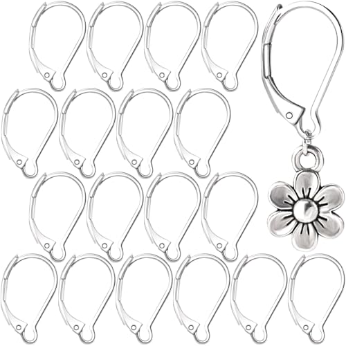 Alpinleux Ohrringhaken mit Klappbügel, Edelstahl, hypoallergen, baumelnde Ohrringhaken, französische Ohrdraht, für Damen, DIY, Handwerk, Schmuckherstellung, 20 Stück von Alpinleux