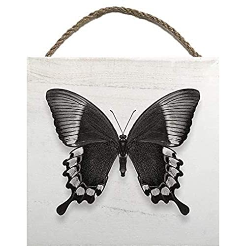 Alyson Fennell EMB10935-Mhrfbg-20x20 Holzblock, Mehrfarbig, 20 x 20 cm Alyson Fennell EMB10935-Mhrfbg-20x20 Holzblock, Mehrfarbig, 20 x 20 cm von Alyson Fennell