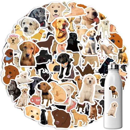 Amabro 60 Stück süße Hunde Aufkleber, Labrador Hund Kawaii Tier Aufkleber wasserfestes Vinyl lustige Haustier Hunde Aufkleber für Kinder, Geschenke Laptop Wasserflasche Telefon Welpe Geburtstagsparty Amabro 60 Stück süße Hunde Aufkleber, Labrador Hund Kawaii Tier Aufkleber wasserfestes Vinyl lustige Haustier Hunde Aufkleber für Kinder, Geschenke Laptop Wasserflasche Telefon Welpe Geburtstagsparty von Amabro