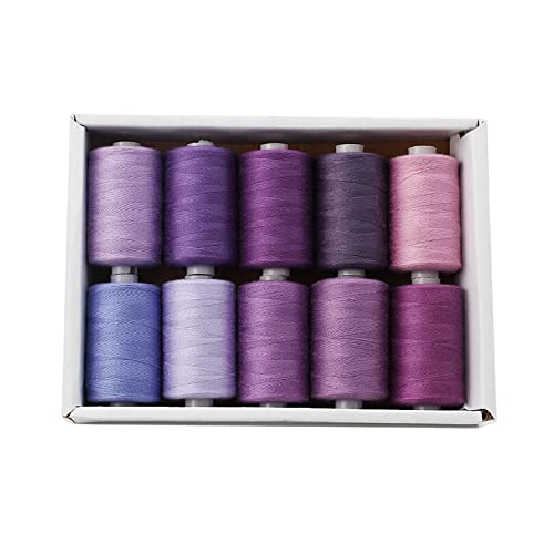 Amagogo Nähgarn Kits, 12 n Polyester 1000 Yards Nähen Und Sticken von Hand, Violett Amagogo Nähgarn Kits, 12 n Polyester 1000 Yards Nähen Und Sticken von Hand, Violett von Amagogo