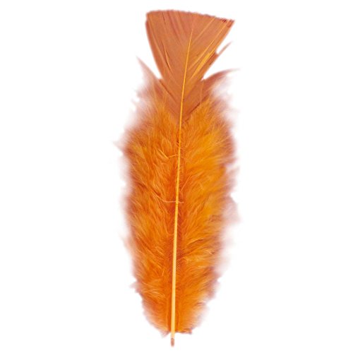 Amakando 50 Federn Deko Bastelfedern orange - ca. 10 cm Bastel Dekofedern Rio Samba Schmuckfedern Zierfedern Brasilien Flauschfedern Partydeko Amakando 50 Federn Deko Bastelfedern orange - ca. 10 cm Bastel Dekofedern Rio Samba Schmuckfedern Zierfedern Brasilien Flauschfedern Partydeko von Amakando