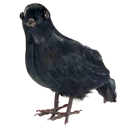 Amakando Deko Krähe Schwarzer Rabe echte Federn Gothic Vogel Horror Dekofigur Raumdeko Rabenvogel Sagen und Märchen Raumdekoration Amakando Deko Krähe Schwarzer Rabe echte Federn Gothic Vogel Horror Dekofigur Raumdeko Rabenvogel Sagen und Märchen Raumdekoration von Amakando