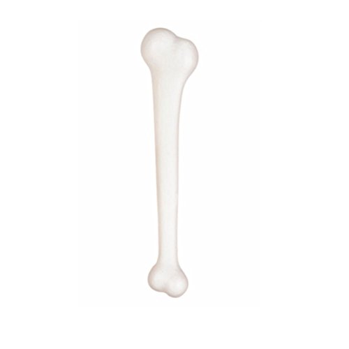 Amakando Riesenknochen Steinzeit Knochen 38 cm Neandertaler Skelettknochen Urzeit Dekoknochen Halloween Plastikknochen Skelett Gebein Amakando Riesenknochen Steinzeit Knochen 38 cm Neandertaler Skelettknochen Urzeit Dekoknochen Halloween Plastikknochen Skelett Gebein von Amakando
