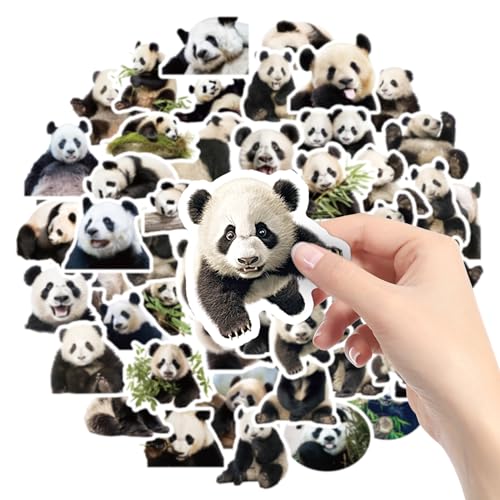 Amaxiu 50 Stück Niedliche Panda Aufkleber, Wasserfest Vinyl Tiere Aufkleber ästhetische Abziehbilder Dekorative Cartoon Stickers für Panda Liebhaber Wasserflasche Telefon Laptop von Amaxiu