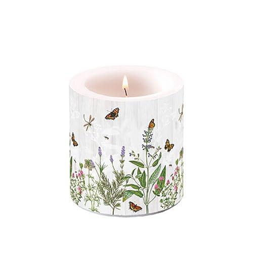 Ambiente Kerze Stumpenkerze Wachswindlicht Dekorationskerze 9 cm hoch Paraffinwachs 35h Brenndauer Kräuter Garten Tischdekoration Serie herb garden von Ambiente