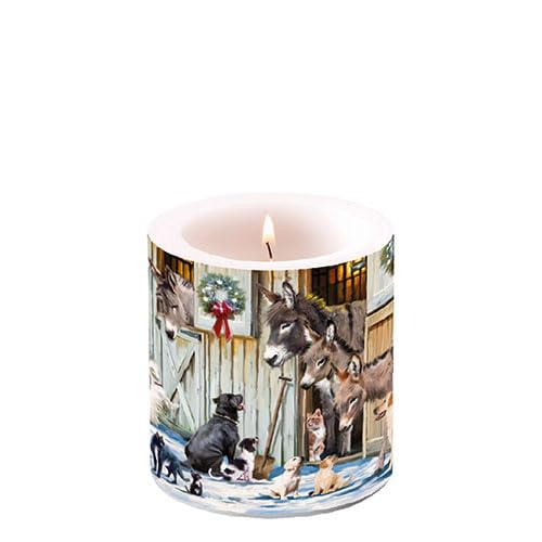 Ambiente Kerze Stumpenkerze Wachswindlicht Dekorationskerze 9 cm hoch Paraffinwachs 35h Brenndauer Tiere im Stall Serie Animal friends Ambiente Kerze Stumpenkerze Wachswindlicht Dekorationskerze 9 cm hoch Paraffinwachs 35h Brenndauer Tiere im Stall Serie Animal friends von Ambiente