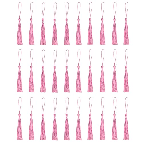 30 Stück Lesezeichen-Quasten, Mini-Quasten, seidige Quasten für Lesezeichen, handgefertigte Lesezeichen, Quasten für Harz, Bastelbedarf und Heimdekoration (rosa) von Amdonalo