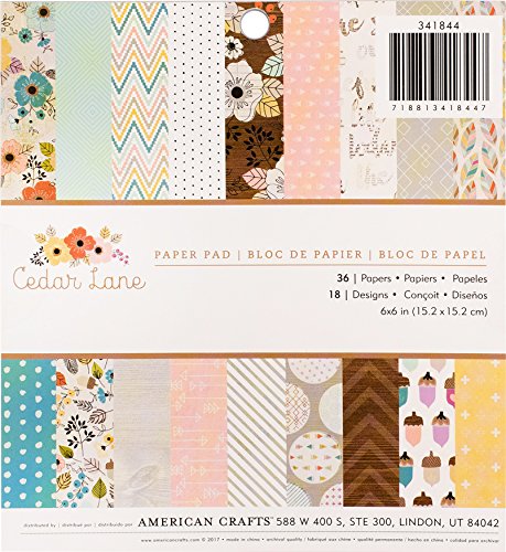 American Crafts Einseitiger Papierblock, Nicht zutreffend, Mehrfarbig, 16.76 x 15.24 x 1.01 cm von American Crafts
