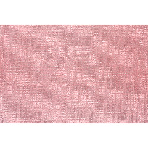 American Crafts Granat Coredinations Specialty Cardstock Gemstones Collection 20 Pack of 12 x 12 Inch von American Crafts