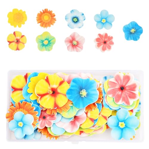 80 Stück Blumen Kuchen Dekoration, Essbare Tortendeko Blumen, Blumen Cupcake Topper Oblatenpapier Kuchendekoration für Hochzeit Geburtstag Baby Dusche Partybedarf 80 Stück Blumen Kuchen Dekoration, Essbare Tortendeko Blumen, Blumen Cupcake Topper Oblatenpapier Kuchendekoration für Hochzeit Geburtstag Baby Dusche Partybedarf von Amexo