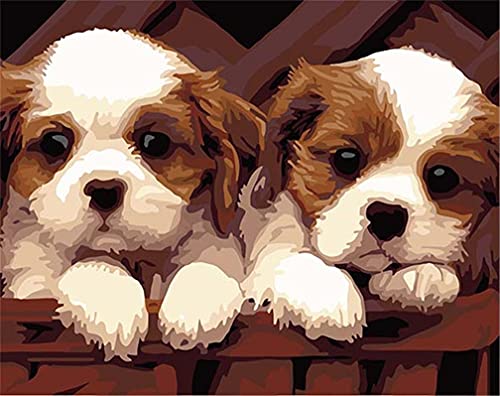 Amiiba Malen nach Zahlen-Kits, Cavalier King Charles Spaniel, 40,6 x 50,8 cm, Acryl, Malen nach Zahlen, Wandkunst (Hund, ohne Rahmen) von Amiiba