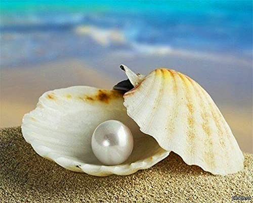 Amiiba Malen nach Zahlen-Kits, Strand Perle Muscheln Meeresleben Magische Kreatur 40,6 x 50,8 cm Acryl Malen nach Zahlen Wandkunst Basteln (Perlmutt, ohne Rahmen) von Amiiba