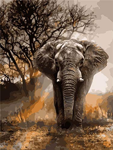 Amiiba Malen nach Zahlen-Kits, Elefant, 40,6 x 50,8 cm, Acryl, Malen nach Zahlen, Wandkunst zum Basteln (Tier, mit Rahmen) von Amiiba