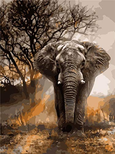 Malen nach Zahlen-Kits, Amiiba Elefant, 40,6 x 50,8 cm, Acryl, Malen nach Zahlen, Wandkunst zum Basteln (Tier, mit Rahmen) von Amiiba