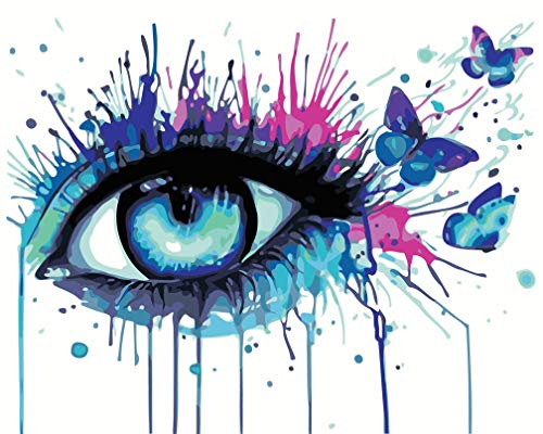 Amiiba Malen nach Zahlen Kits, blaues Auge und Schmetterling, 40,6 x 50,8 cm, Acryl, Malen nach Zahlen, Wandkunst (Auge, mit Rahmen) von Amiiba